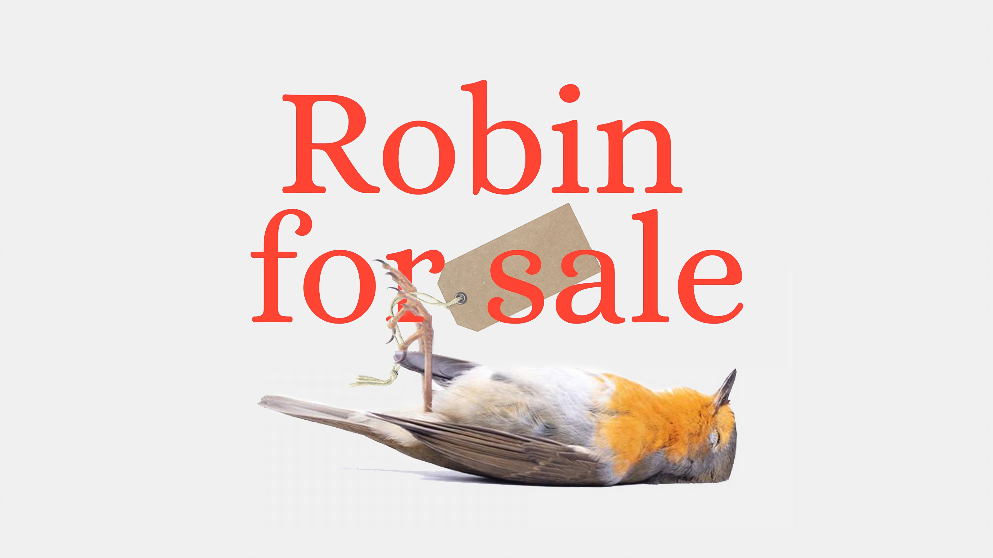 The 'Robin for sale' logo with a picture of dead Red Robin and a price tag wrapped around its paw
